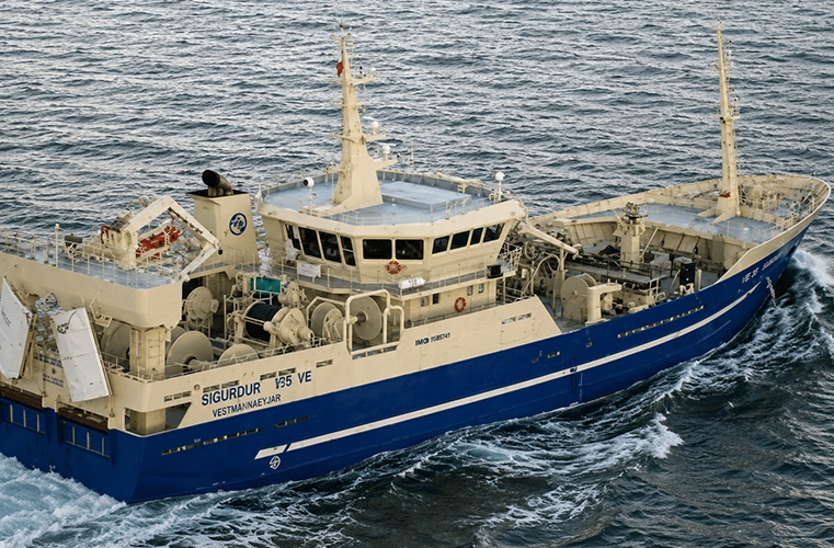 MFV “SHEANNE”